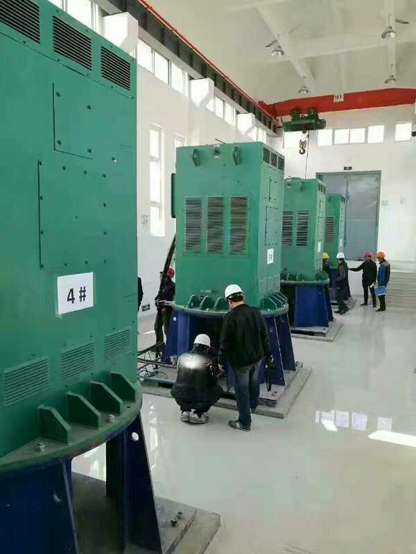 和田县某污水处理厂使用我厂的立式高压电机安装现场