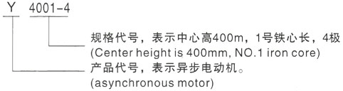 西安泰富西玛Y系列(H355-1000)高压和田县三相异步电机型号说明